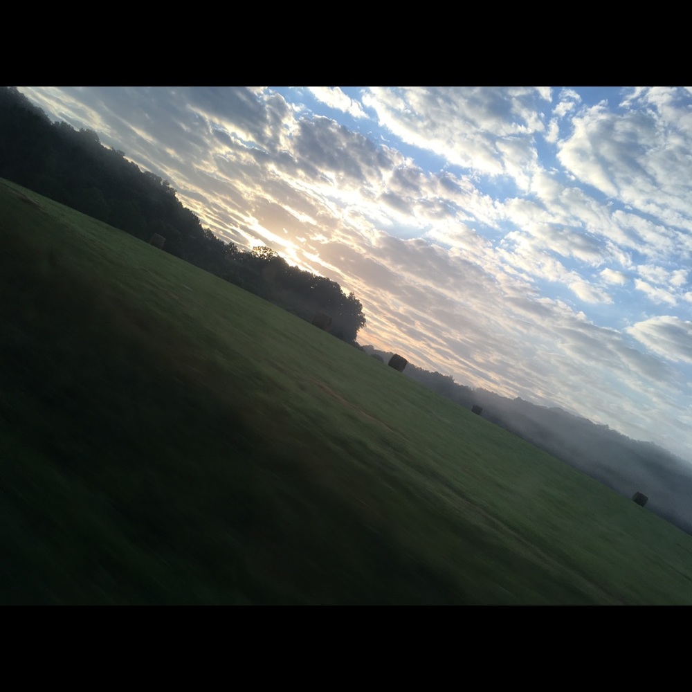 Meet your Posher, Jordan